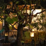 Milingona Center * טיראנה