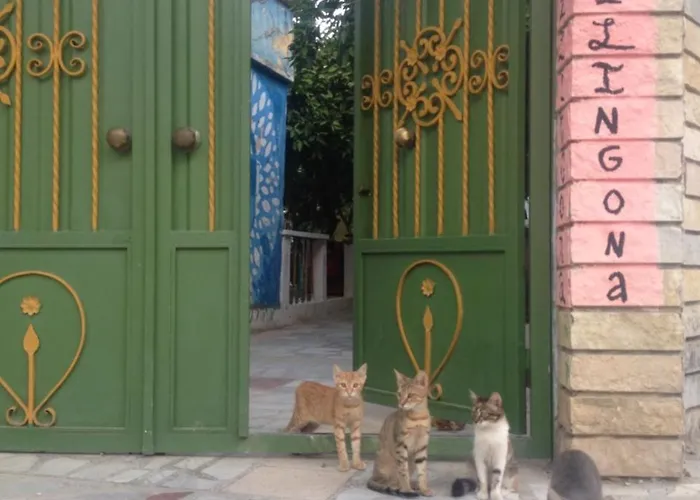 Hostel Milingona Center