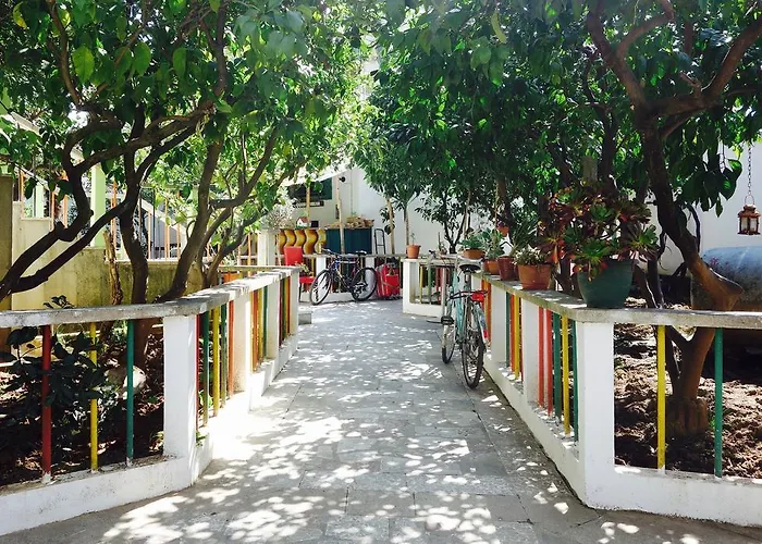 Milingona Center Hostal *